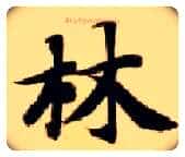 林毛笔楷书写法,摘自隋智永真草千字文