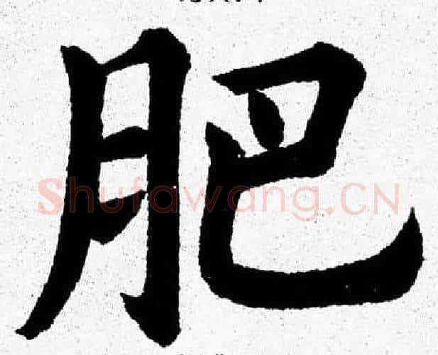 肥字杨永健毛笔楷书书法写法,摘自杨永健毛笔楷书书法作品