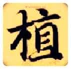 植毛笔楷书写法,摘自隋智永真草千字文
