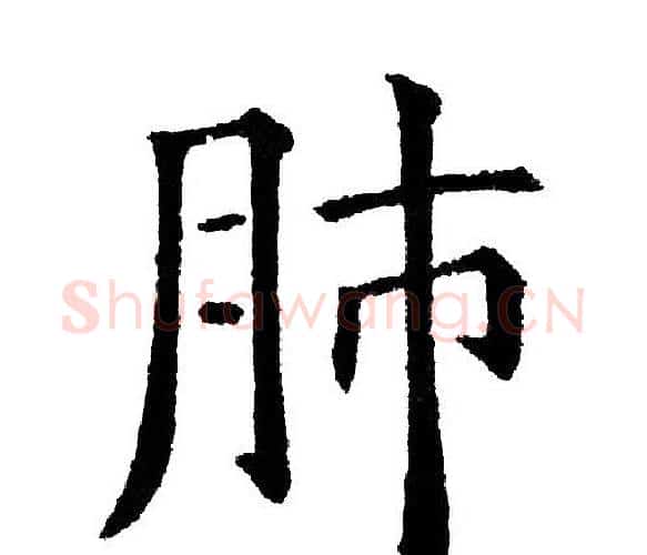肺字黄自元毛笔楷书书法写法,摘自黄自元毛笔楷书书法作品