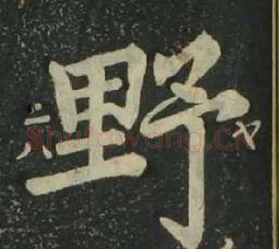 野字姜立纲毛笔楷书书法写法,摘自四体千字文
