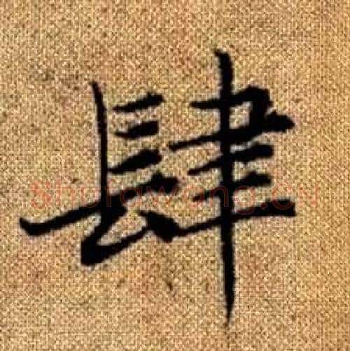 肆字赵孟頫毛笔楷书写法,摘自真草千字文