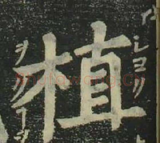 植字姜立纲毛笔楷书书法写法,摘自四体千字文