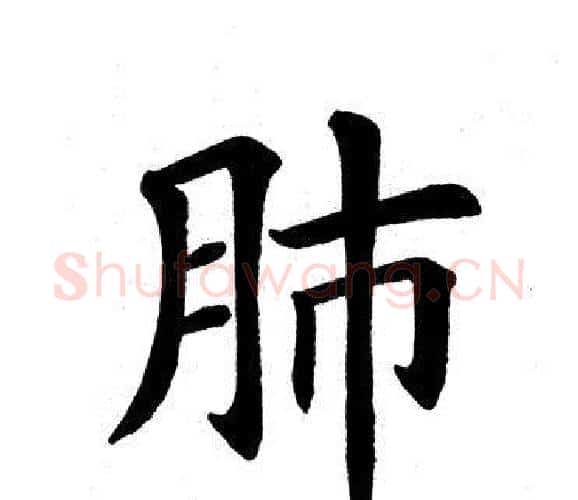 肺字田英章毛笔楷书书法写法,摘自田英章毛笔楷书书法作品