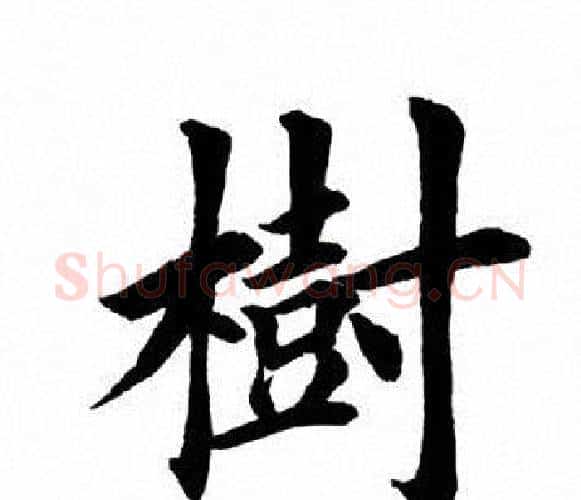 树字田英章毛笔楷书书法写法,摘自田英章毛笔楷书书法作品
