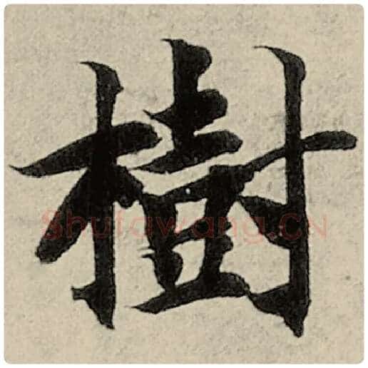 智永毛笔楷书树字的写法,摘自智永书法作品千字文