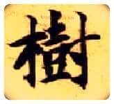树毛笔楷书写法,摘自隋智永真草千字文