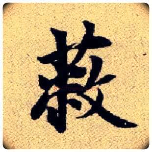 蔽毛笔楷书写法,摘自元赵孟頫续千字文