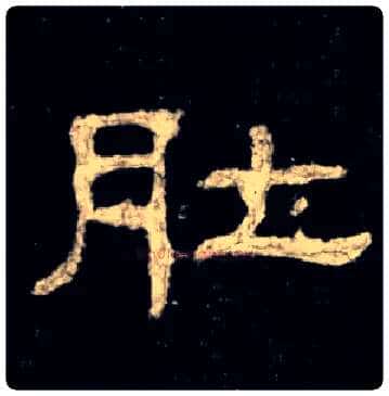 肚毛笔隶书写法,摘自集字集自史晨碑