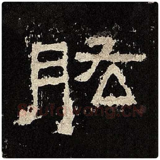 毛笔隶书肱字的写法,摘自书法作品张迁碑