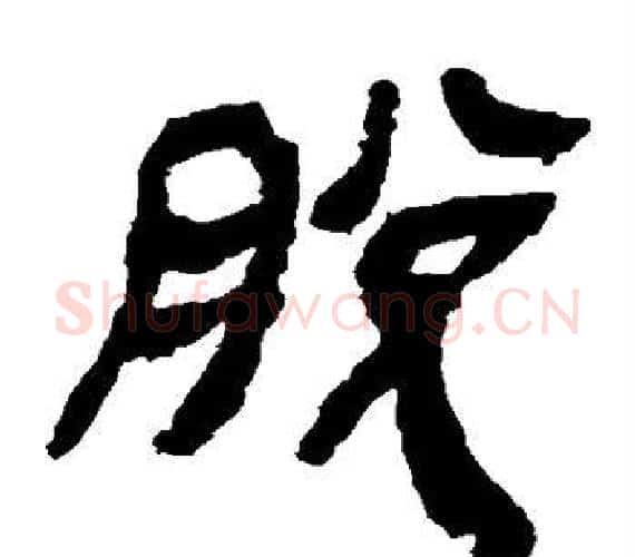 脱字轪侯利苍的儿子‌‌毛笔隶书写法,摘自轪侯利苍的儿子‌‌毛笔隶书作品