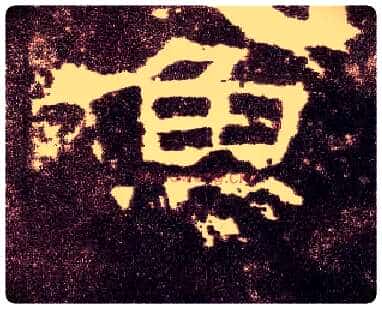 鱼毛笔隶书写法,摘自汉张迁碑