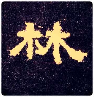 林毛笔隶书写法,摘自汉张迁碑