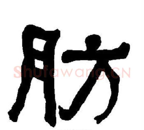肪字朱登毛笔隶书书法写法,摘自衡方碑