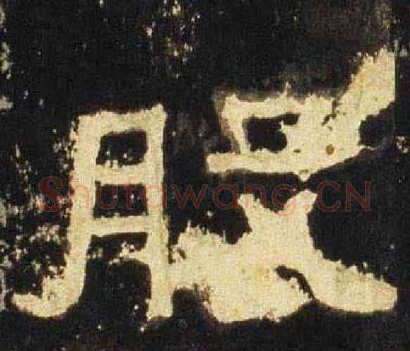 股字佚名毛笔隶书书法写法,摘自张迁碑