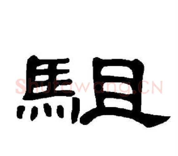 驵字王敞 等毛笔隶书写法,摘自曹全碑