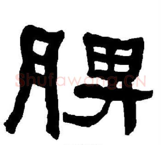 脾字朱登毛笔隶书书法写法,摘自衡方碑