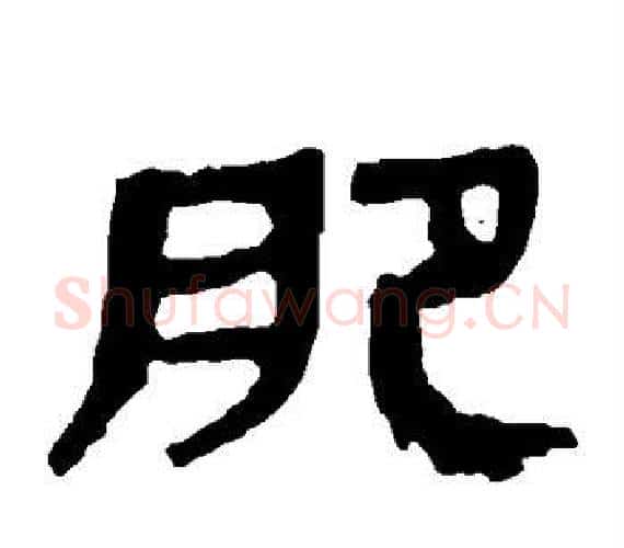 肥字轪侯利苍的儿子‌‌毛笔隶书写法,摘自轪侯利苍的儿子‌‌毛笔隶书作品