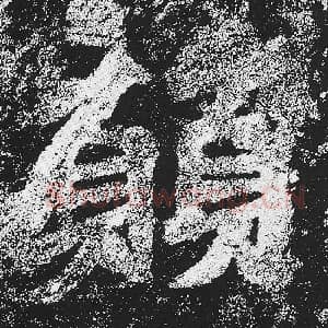 愿
