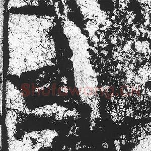 北魏 朱义章 毛笔魏碑体楷书『是』单字帖图片，摘自：始平公造像记