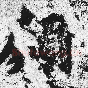 北魏 朱义章 毛笔魏碑体楷书『愿』单字帖图片，摘自：始平公造像记