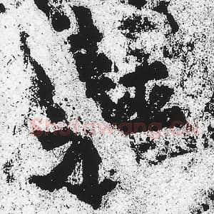 北魏 朱义章 毛笔魏碑体楷书『藉』单字帖图片，摘自：始平公造像记