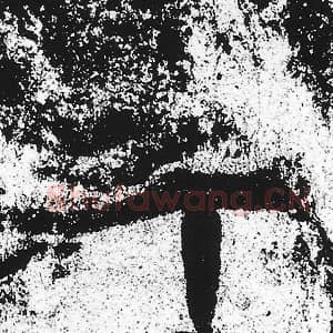 北魏 朱义章 毛笔魏碑体楷书『年』单字帖图片，摘自：始平公造像记