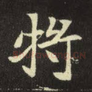北魏 毛笔魏碑体楷书『将』单字帖图片，摘自：元倪墓志