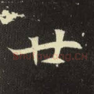 北魏 毛笔魏碑体楷书『廿』单字帖图片，摘自：元倪墓志