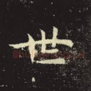 北魏 毛笔魏碑体楷书『世』单字帖图片，摘自：元倪墓志