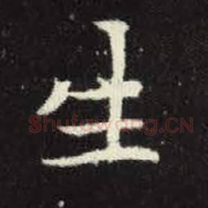 北魏 毛笔魏碑体楷书『生』单字帖图片，摘自：元倪墓志