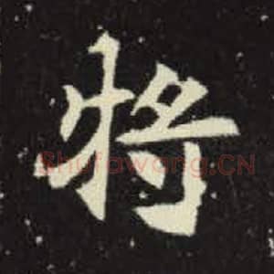 北魏 毛笔魏碑体楷书『将』单字帖图片，摘自：元倪墓志