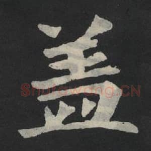 北魏 毛笔魏碑体楷书『盖』单字帖图片,摘自:张玄墓志