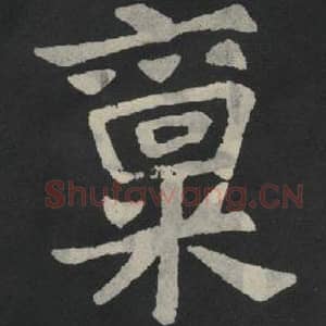 北魏 毛笔魏碑体楷书『禀』单字帖图片,摘自:张玄墓志