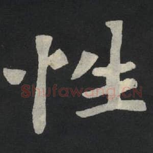 北魏 毛笔魏碑体楷书『性』单字帖图片,摘自:张玄墓志