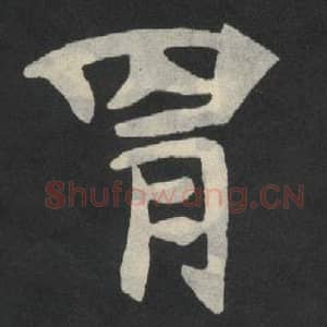 北魏 毛笔魏碑体楷书『胄』单字帖图片,摘自:张玄墓志