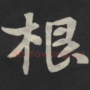 北魏 毛笔魏碑体楷书『根』单字帖图片,摘自:张玄墓志
