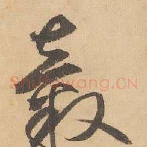 轂