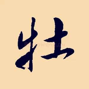 牡