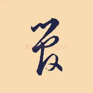 管