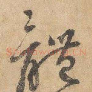 體