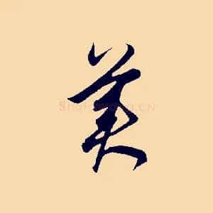 美