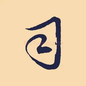 司