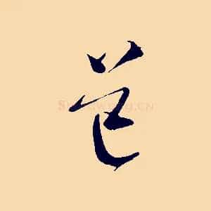 道