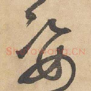 姿