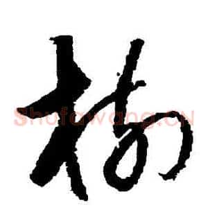 樹