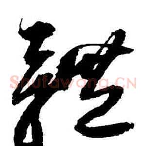 體