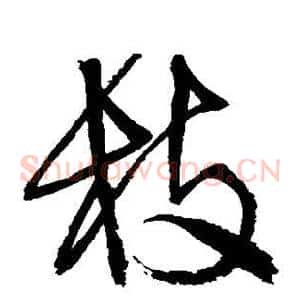 枝