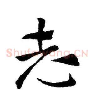 志