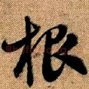 根